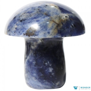 CARVING - Mushroom Sodalite 5cm