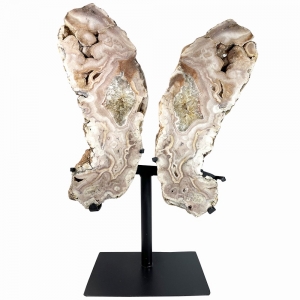 BUTTERFLY - AMETHYST PINK ON METAL STAND 60-75cm per 1Kg (Pick Up Only)