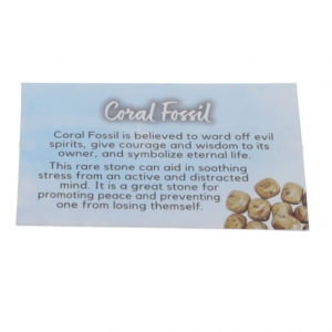 40% OFF - CRYSTAL INFO CARD - FOSSIL CORAL