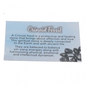 40% OFF - CRYSTAL INFO CARD - FOSSIL, CRINOID