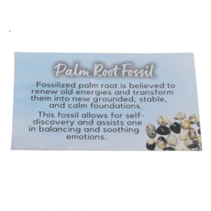 40% OFF - CRYSTAL INFO CARD - FOSSIL PALM ROOT