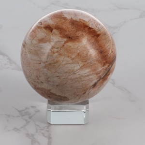 40% OFF -  SPHERE - Petrified Wood 139gms