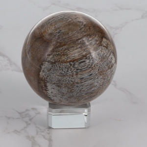 40% OFF -  SPHERE - Petrified Wood 182gms