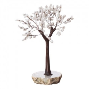 40% OFF - White Jade Agate Base Tree 160 Chips