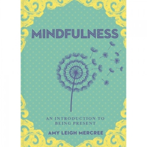 BOOK - Little Bit of Mindfulness (RRP $14.99)