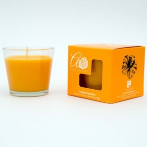CLEARANCE - 3oz Candle Tropical Paradise