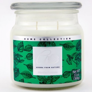 13Oz 2 Wick Menthe Froissee