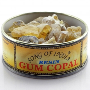 SOI RESINS - Gum Copal 60gms