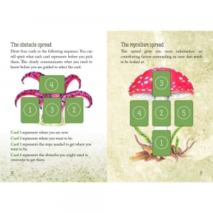 ORACLE CARDS - Mushroom Spirit (RRP $32.99)