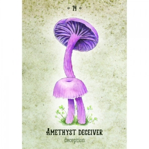 ORACLE CARDS - Mushroom Spirit (RRP $32.99)