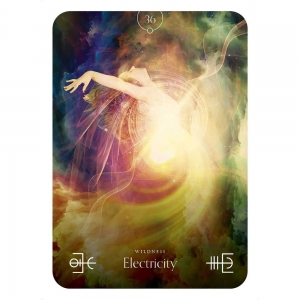 ORACLE CARDS - Elemental by Stacey Demarco (RRP $32.99)
