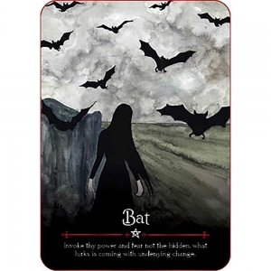 ORACLE CARDS - Seasons of the Witch - Samhain (RRP $32.99)