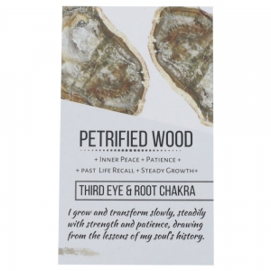 CRYSTAL INFO CARD - Petrified Wood