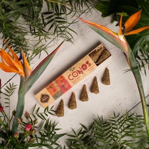 Cones - Calendula and Rosemary