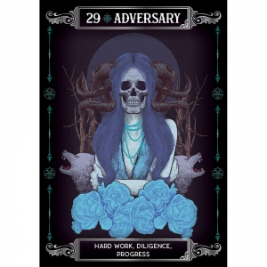 ORACLE CARDS - Earth and Bone (RRP $32.99)