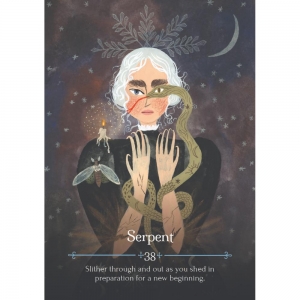 ORACLE CARDS - Seasons of the Witch Imbolic (RRP $32.99)