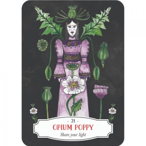 ORACLE CARDS - Deadly Apothecary (RRP $32.99)